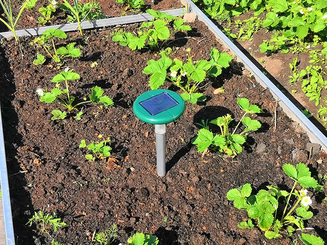 Отпугиватель кротов 